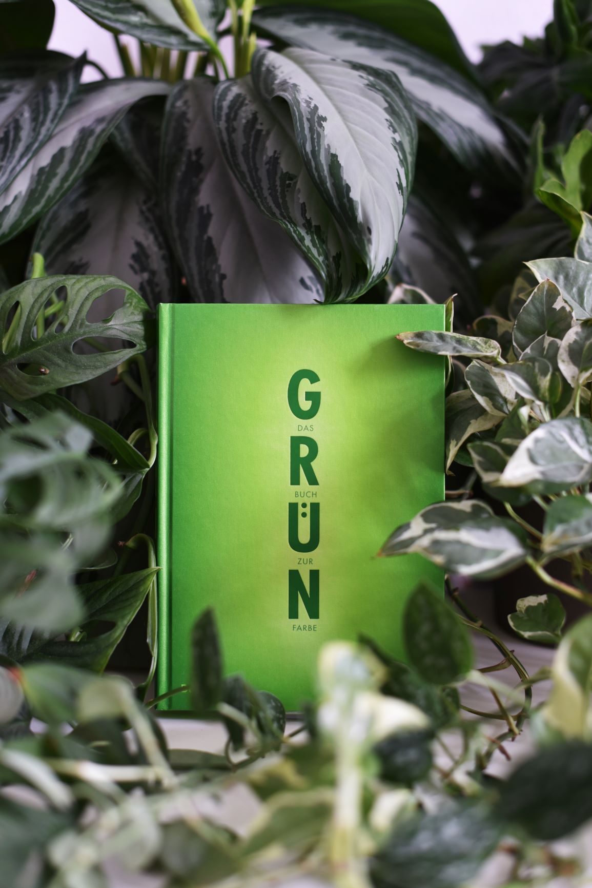 Grün Grün